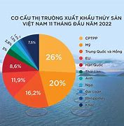 Các Đơn Hàng Xuất Khẩu Nhật Bản 2023 Cho Nữ