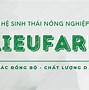 Công Ty Tnhh Nông Sản Phú Lâm Tây Tuyển Dụng