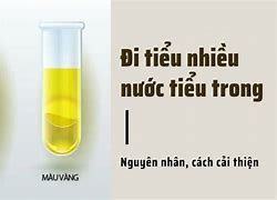 Nước Tiểu Trong Hóa Học Gọi Là Gì