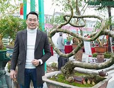 Triển Lãm Bonsai Hà Nội 2024